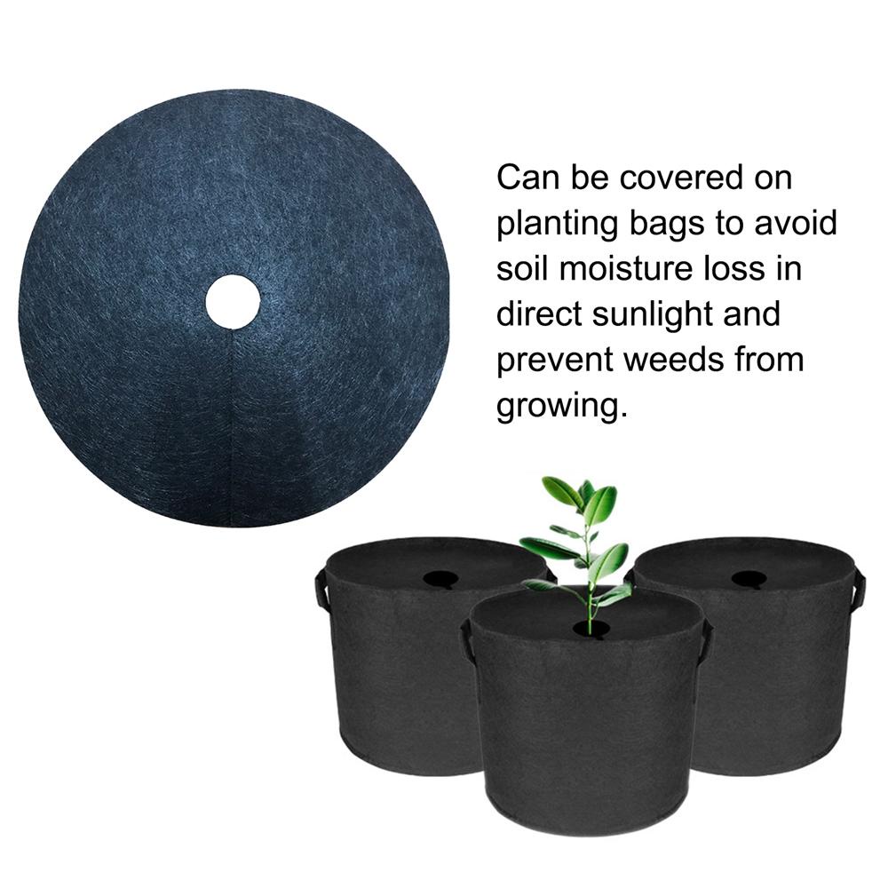 Vỏ Bọc Chặn Cây Tròn Bằng Nhựa Malcom Mulch Orchard