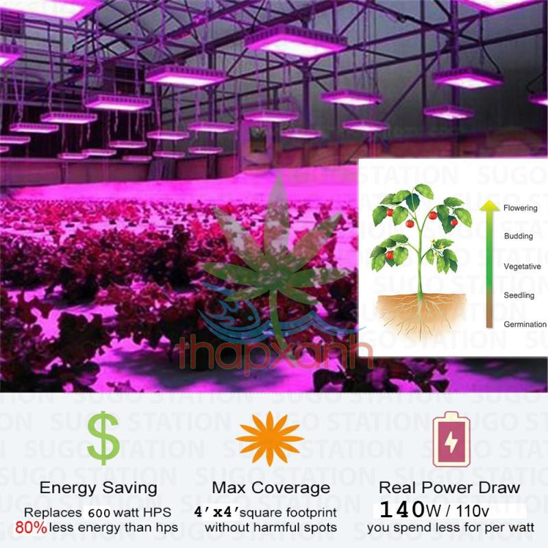 Đèn Led trồng cây, đèn trồng cây trong nhà (GL-600W)