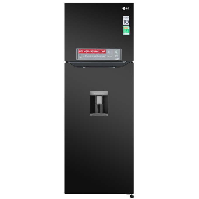 GN-D315BL - Tủ lạnh LG Inverter 315 lít D315BL