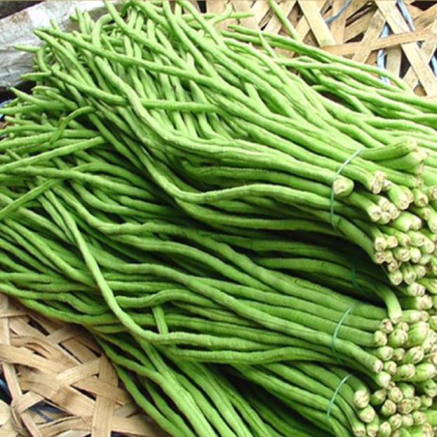 Hạt Giống Đậu Đũa Cao Sản F1