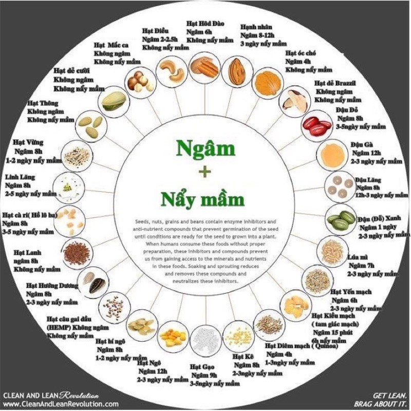 Hạt Hữu Cơ tách lẻ 50-100g dùng nấu ăn dặm hoặc làm sữa | BigBuy360 - bigbuy360.vn