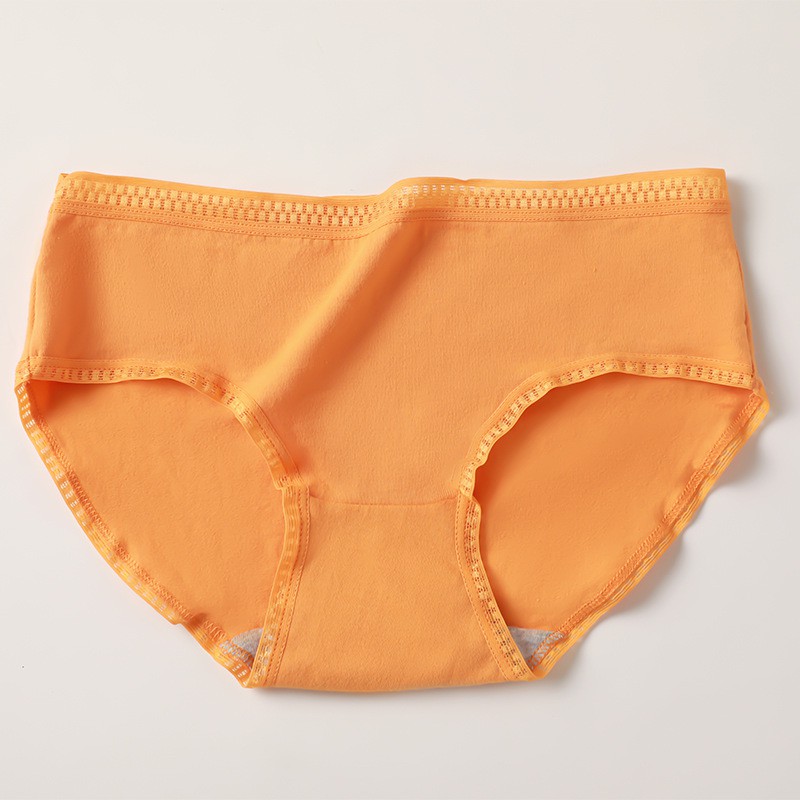 Quần Lót Cotton Sợi Bông Cạp Zíc Màng Kháng Khuẩn QL68