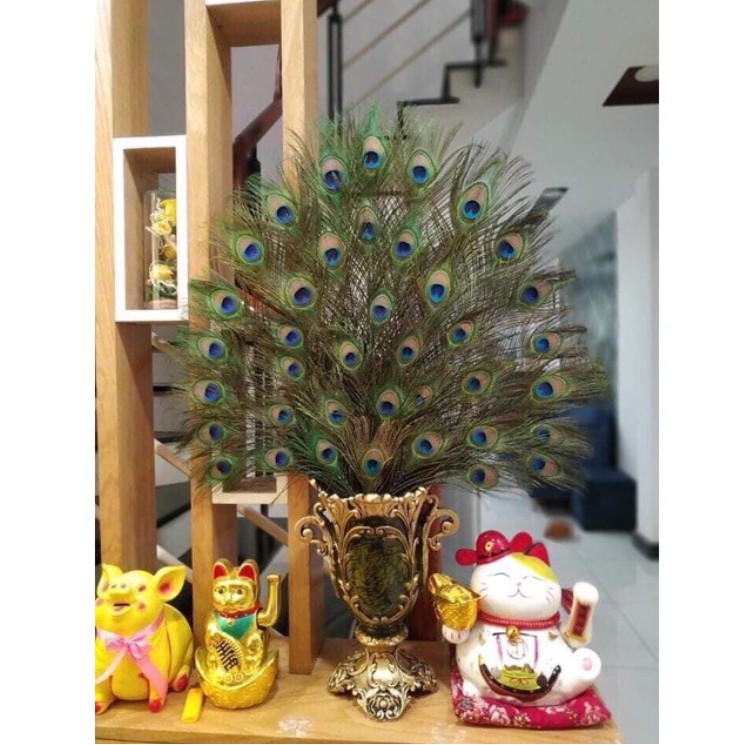 Lông công phong thủy LEVAN - Combo 10 lông công vượng khí, cầu tài, cầu lộc chiều dài 70-80cm | BigBuy360 - bigbuy360.vn