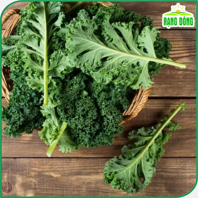 Hạt Giống Cải Xoăn Kale Xanh Dễ Trồng, Năng Suất Cao, Gói 5 gram