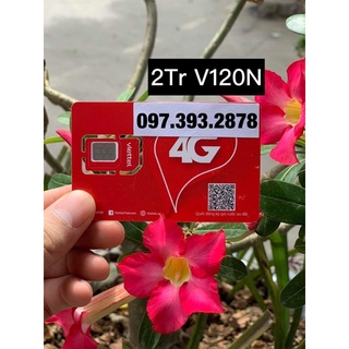 Số đẹp mịn