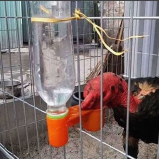 Cóng nước c2 cho gà, chim 10 cái
