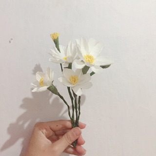 Áo pull