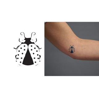 Khuôn hình INKBOX bọ cánh cứng