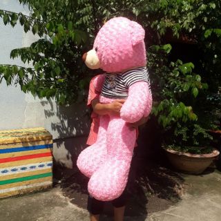 GẤU TEDDY SIÊU KHỦNG 1M2