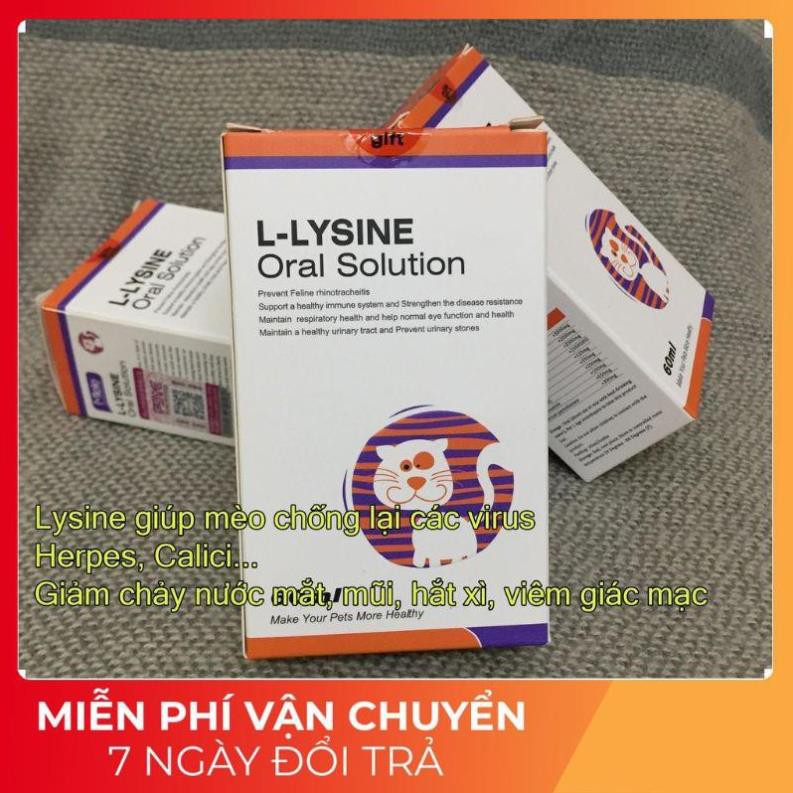 COMBO Lysine, Taurine uống và Nhỏ mắt mũi cho mèo (trị calici, herpes viruss)viêm loét giác mạc, xổ mũi