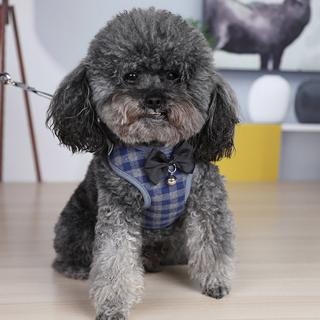 Áo vest dây thắt nơ dắt chó đi dạo