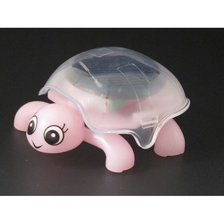 Đồ chơi Rùa mini năng lượng mặt trời
