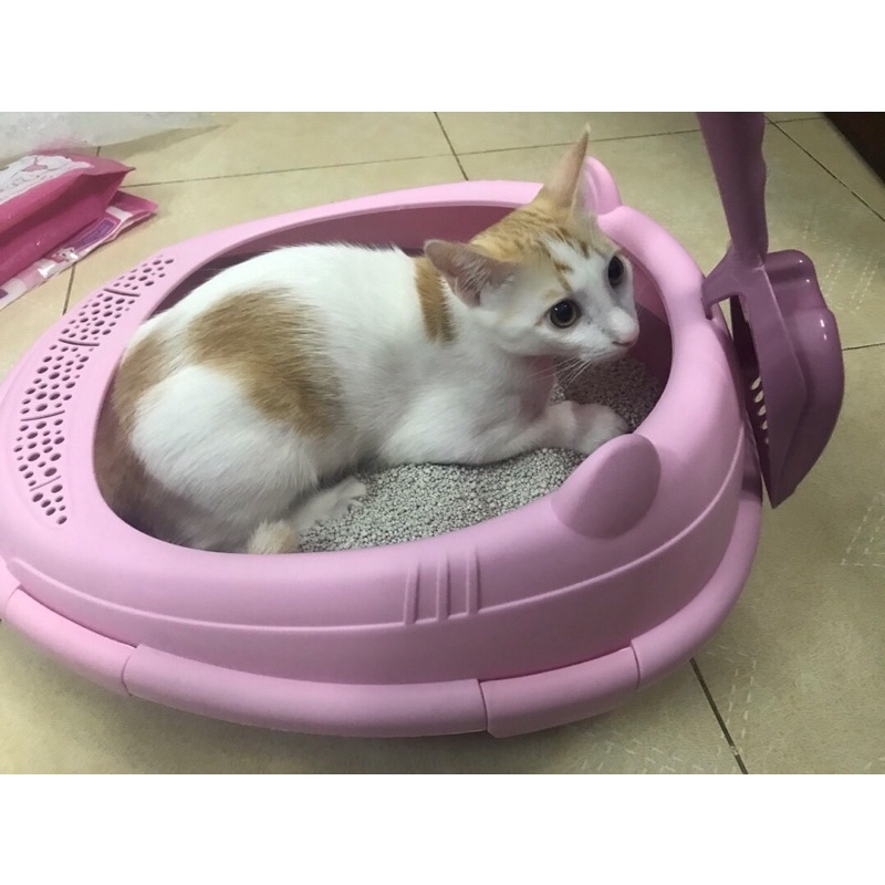 Khay vệ sinh, Chậu Cát, Thau Cát cho mèo  (Tặng kèm xẻng)- Khay đựng cát mèo hình Elip nhựa Cao Cấp