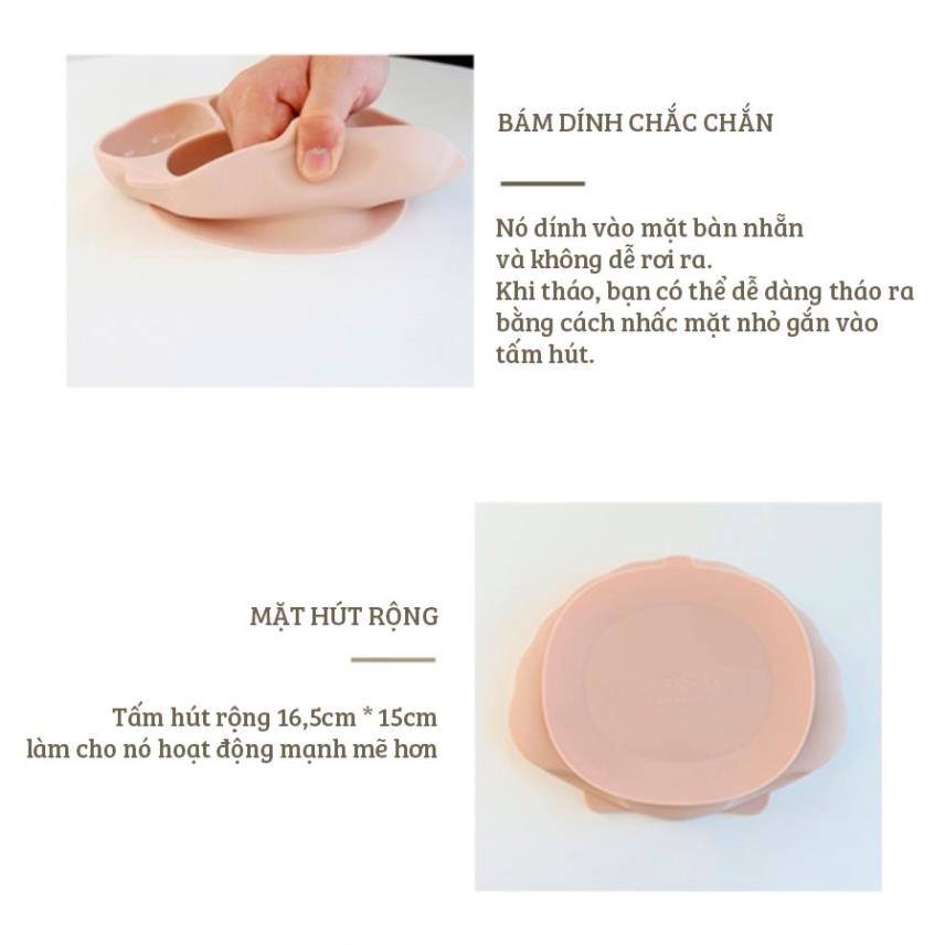 Khay Ăn Dặm Chống Lật Đổ Hình Con Sò TGM Silicone Seashell Suction Plate Có Chia Ngăn Giúp Con Ăn Ngon Hơn