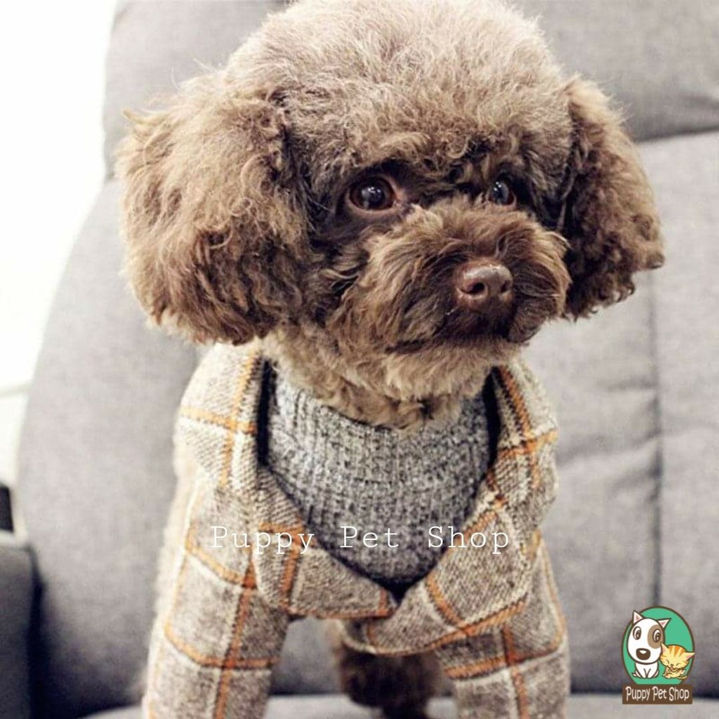 Áo Vest Blazer Kẻ Vintage
