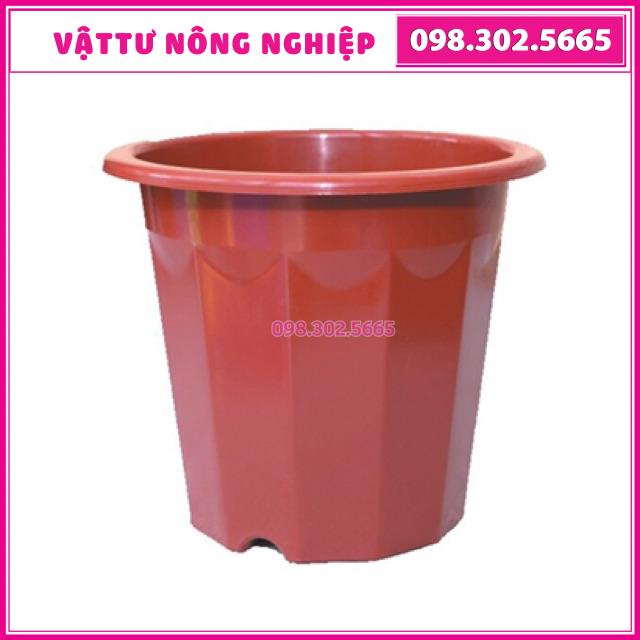 Combo 10 chậu nhựa trồng cây E280 (Kt: 23x15x20cm)