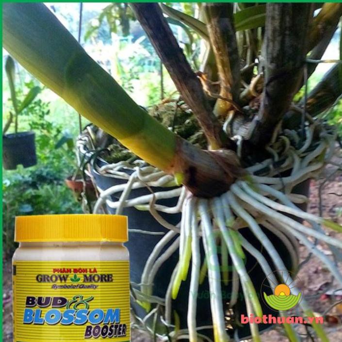 Phân Bón Lá 6-30-30 Growmore Kích Hoa - Phát Triển Bộ Rễ