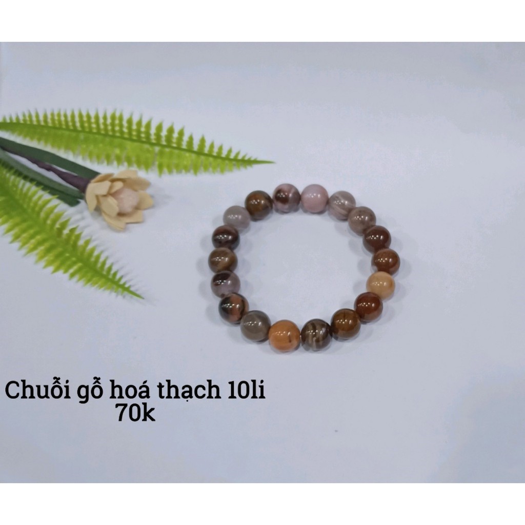 Chuỗi Gỗ Hoá Thạch