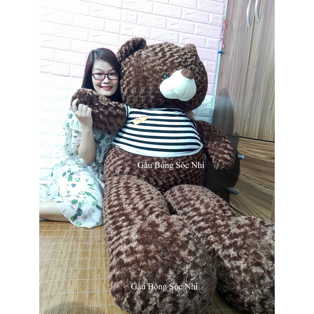 Gấu Bông Teddy Siêu To Khổng Lồ Size 2m  FREESHIP  Gấu Bông Sóc Nhí - Gấu bông teddy khổng lồ