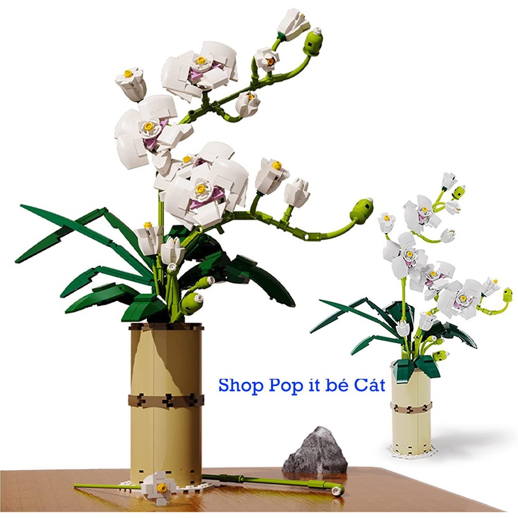 Đồ Chơi Lắp Ráp Mô Hình Hoa Phong Lan Phalaenopsis BOX
