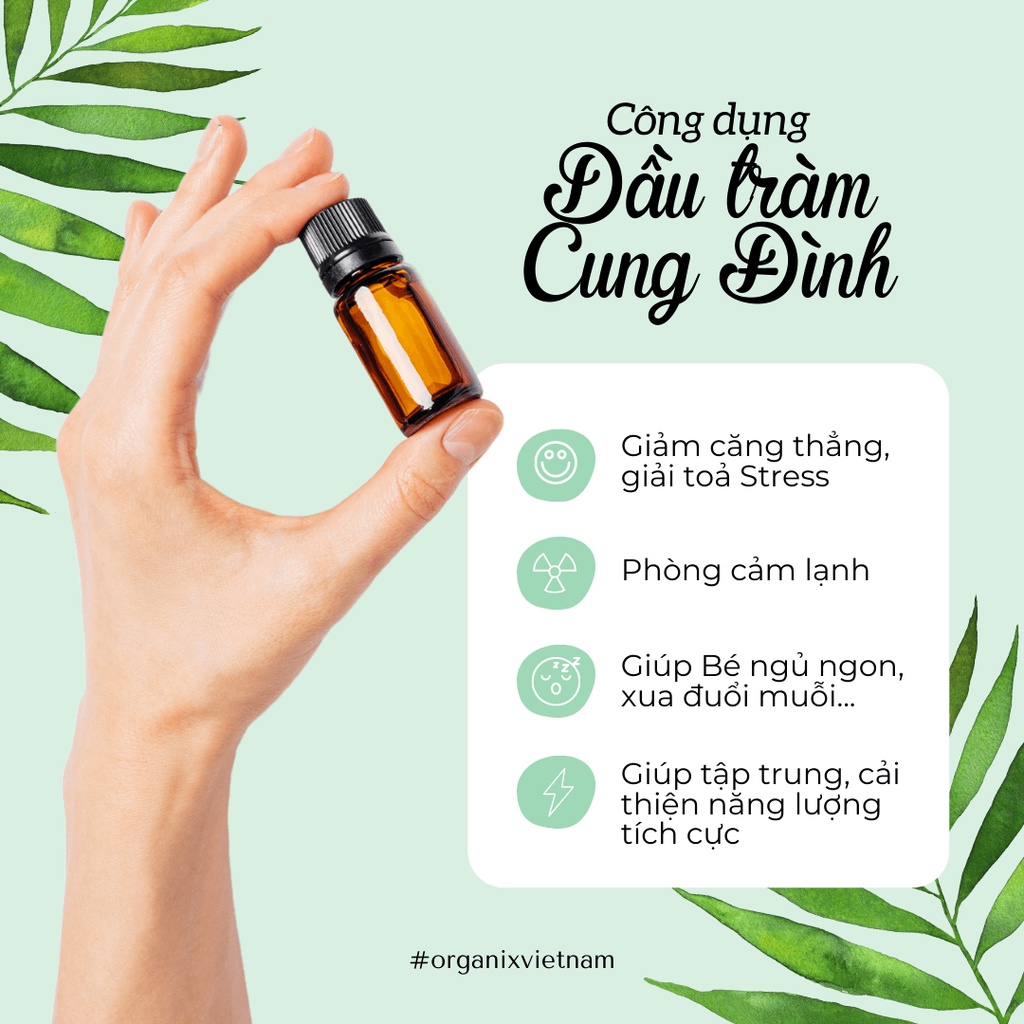 Dầu tràm Cung Đình Gold 50ml | Tinh dầu tràm Huế nguyên chất - Giữ ấm phòng ho cho Bé