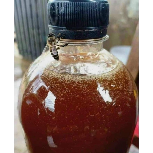 Mật ong Hoa Cà phê Daklak
