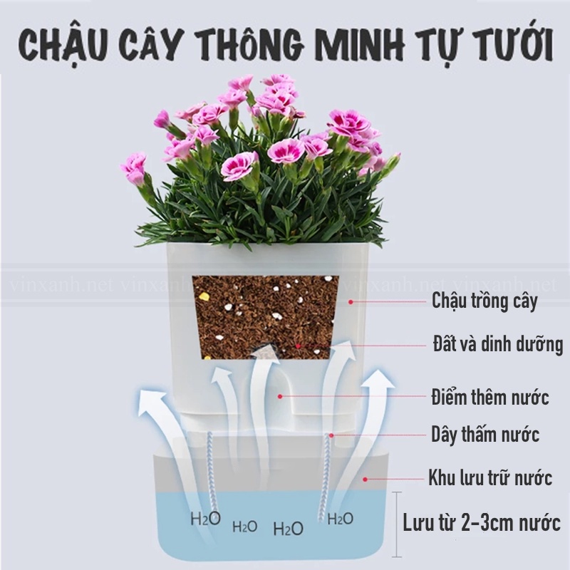 Chậu trồng cây thông minh để bàn 2 lớp nhựa cao cấp/ chậu tự tưới/ tự dưỡng không cần tưới nước 11-23cm