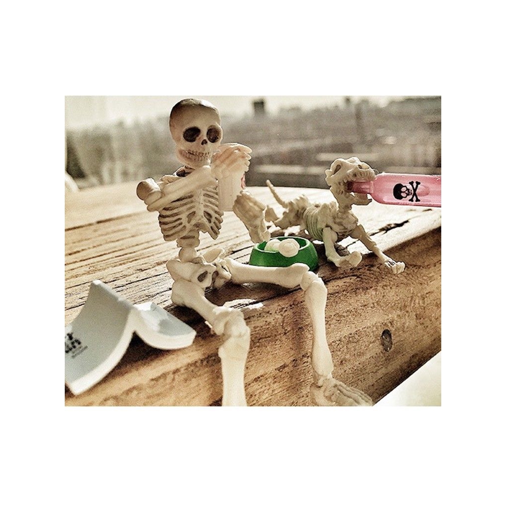 Mô Hình Bộ Xương Người Linh Hoạt