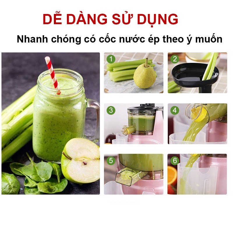 Máy ép chậm hoa quả ép rau củ cho gia đình, máy làm sữa đậu nành - Công suất 150W Chính hãng- Tặng kèm 2 cốc đựng