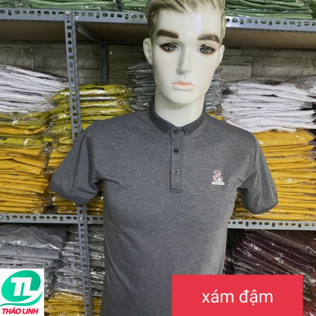 áo thun nam cổ trụ chân cổ sơ mi 0013