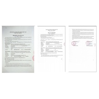 Sữa Ong Chúa SCHON