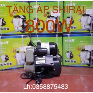 Máy bơm tăng áp shirai 800w