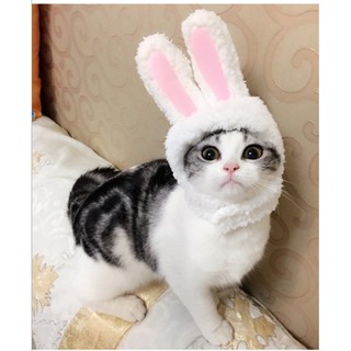 Mũ  Hình Tai Thỏ Cho Thú Cưng Chó Mèo Dưới 5kg