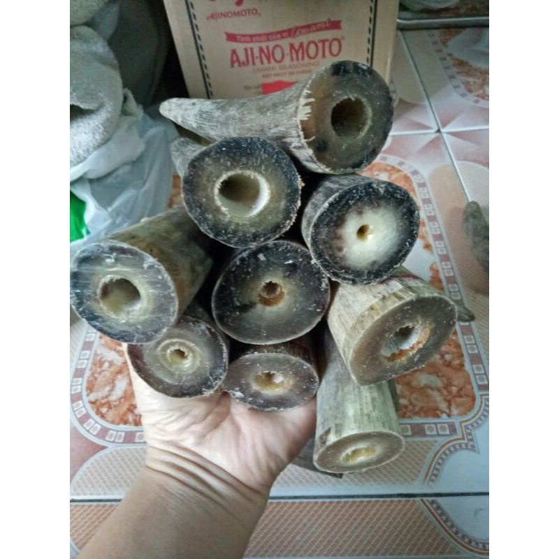 sừng bò châu phi đặc