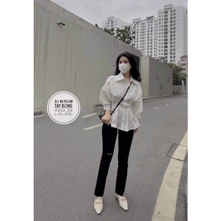 Sơmi peplum xếp eo bigsize (55-90kg)