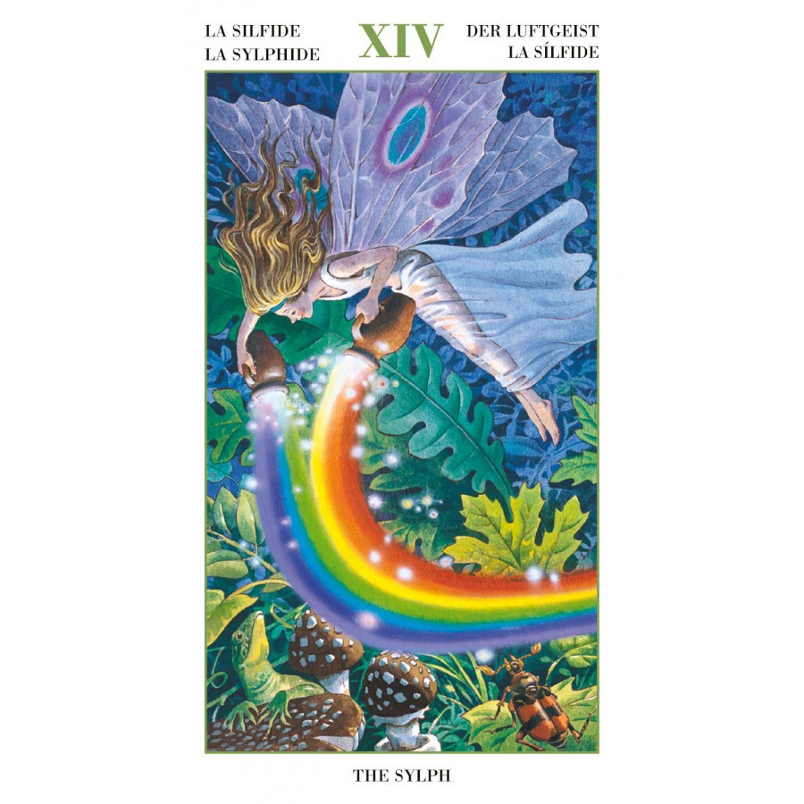 Bộ Bài Fairy Tarot (Mystic House Tarot Shop) - Bài Gốc Authentic Chính Hãng 100%