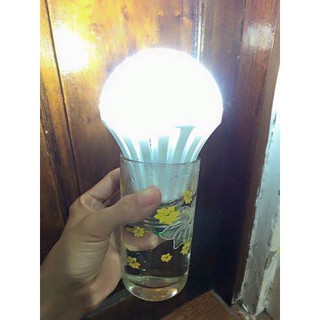 Bóng đèn thả cốc nước tư sáng 12w