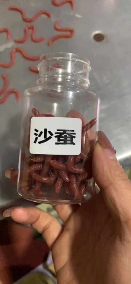 Mồi giun siêu mềm