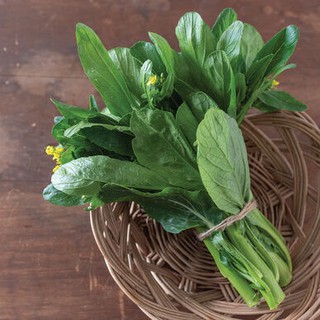 [Hạt giống Mỹ] - Cải ngồng Improved