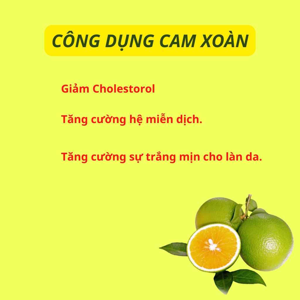 Cam xoàn thái lát sấy lạnh Robi Mart 500g - Hàng loại 1 lát đẹp chính hãng