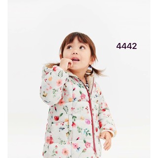 Ao len epk