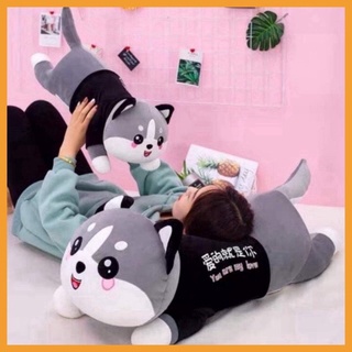 Gấu Bông Mèo Ngáo husky siêu to khổng lồ siêu mềm mịn vải Miniso co giãn 4 chiều đủ size