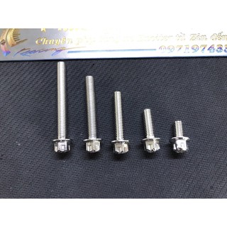 Ốc Salaya inox