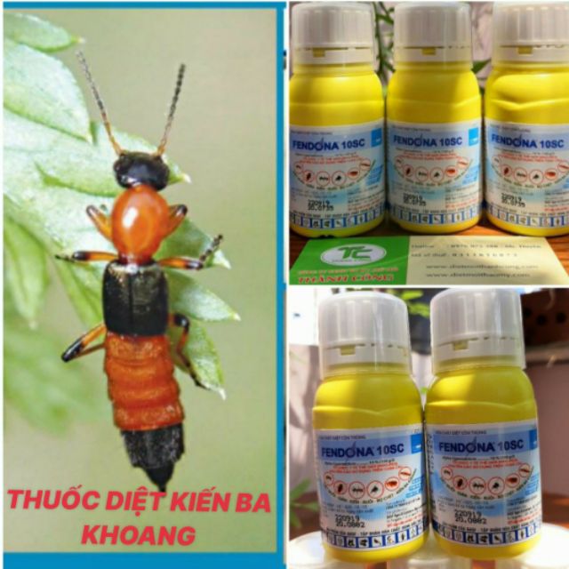 Thuốc diệt kiến ba khoang,muỗi,côn trùng Fendona 10SC 50ml