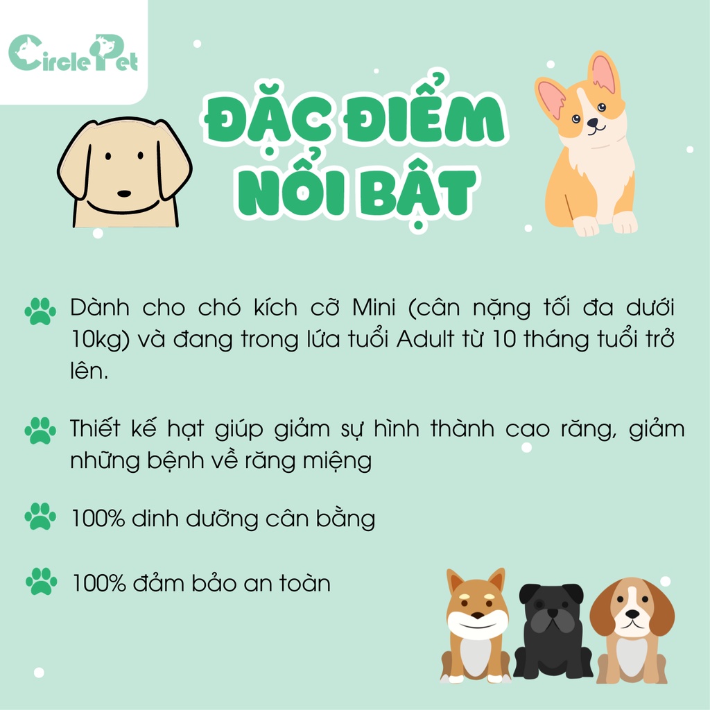 Thức Ăn Cho Chó Royal Canin Mini Adult Hỗ Trợ Hệ Miễn Dịch Cho Chó Trưởng Thành 800g - Circle Pet