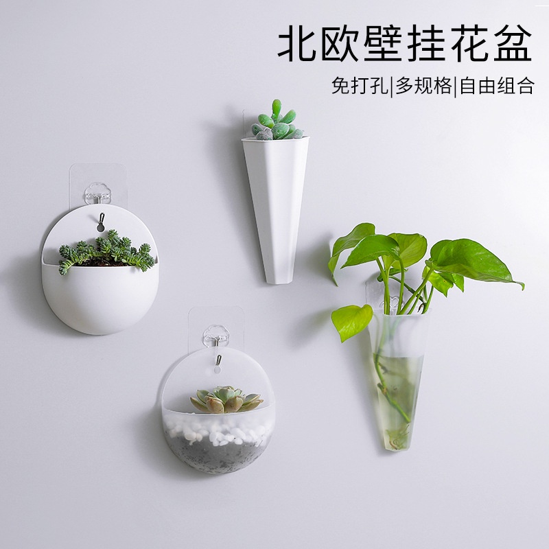 Chậu trồng cây thủy canh treo tường bằng nhựa PP trong suốt không cần khoan trang trí nhà cửa, bàn học đa năng