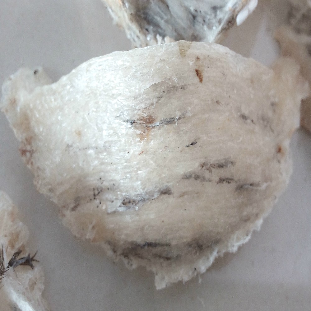 Yến Sào Thô Nha Trang Loại 1 - 50g / 100g