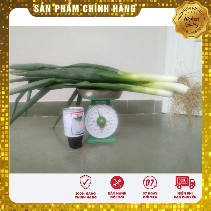 Hạt giống Paro hành rau hanh hat giong hanh paro