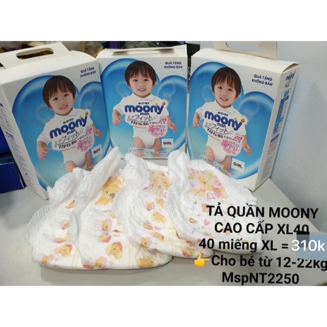 TÃ QUẦN MOONY CAO CẤP XL40 (HÀNG KHUYẾN MÃI)