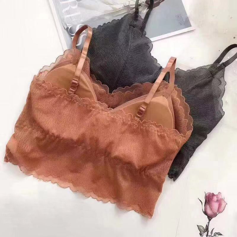 Áo Ngực Ren Không Gọng